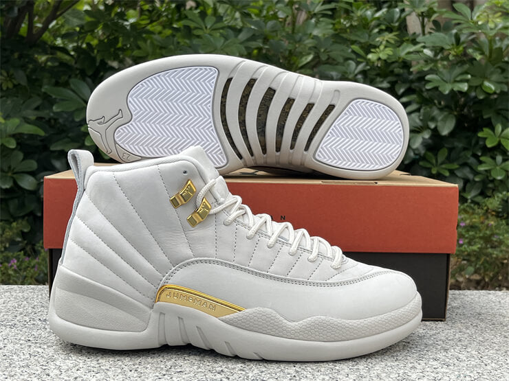 Air Jordan 12 Phantom Sneaker