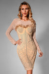 Britnay Feather Long Sleeve Pearl Dress