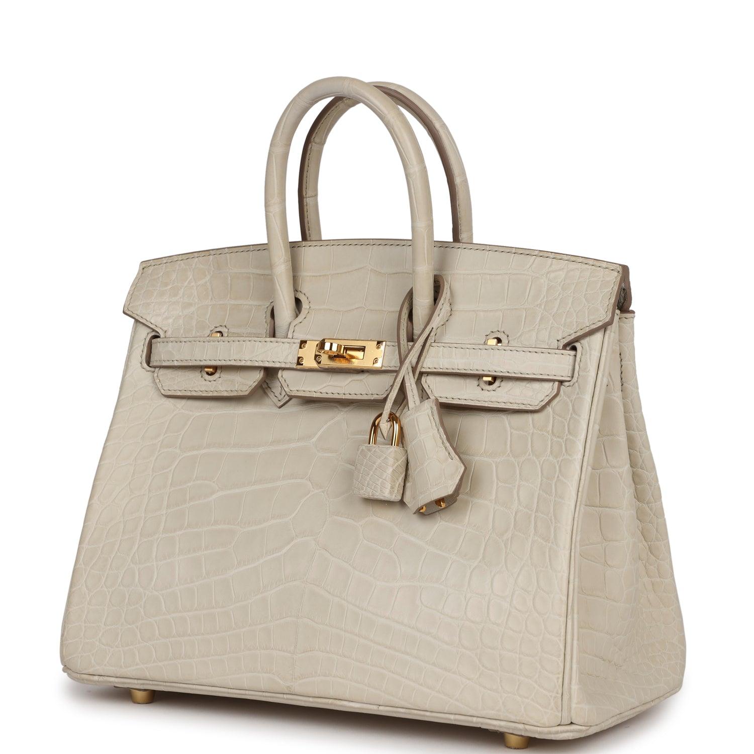 HRMS Birkin 25 Beton Matte Alligator Gold Hardware - tntwear1