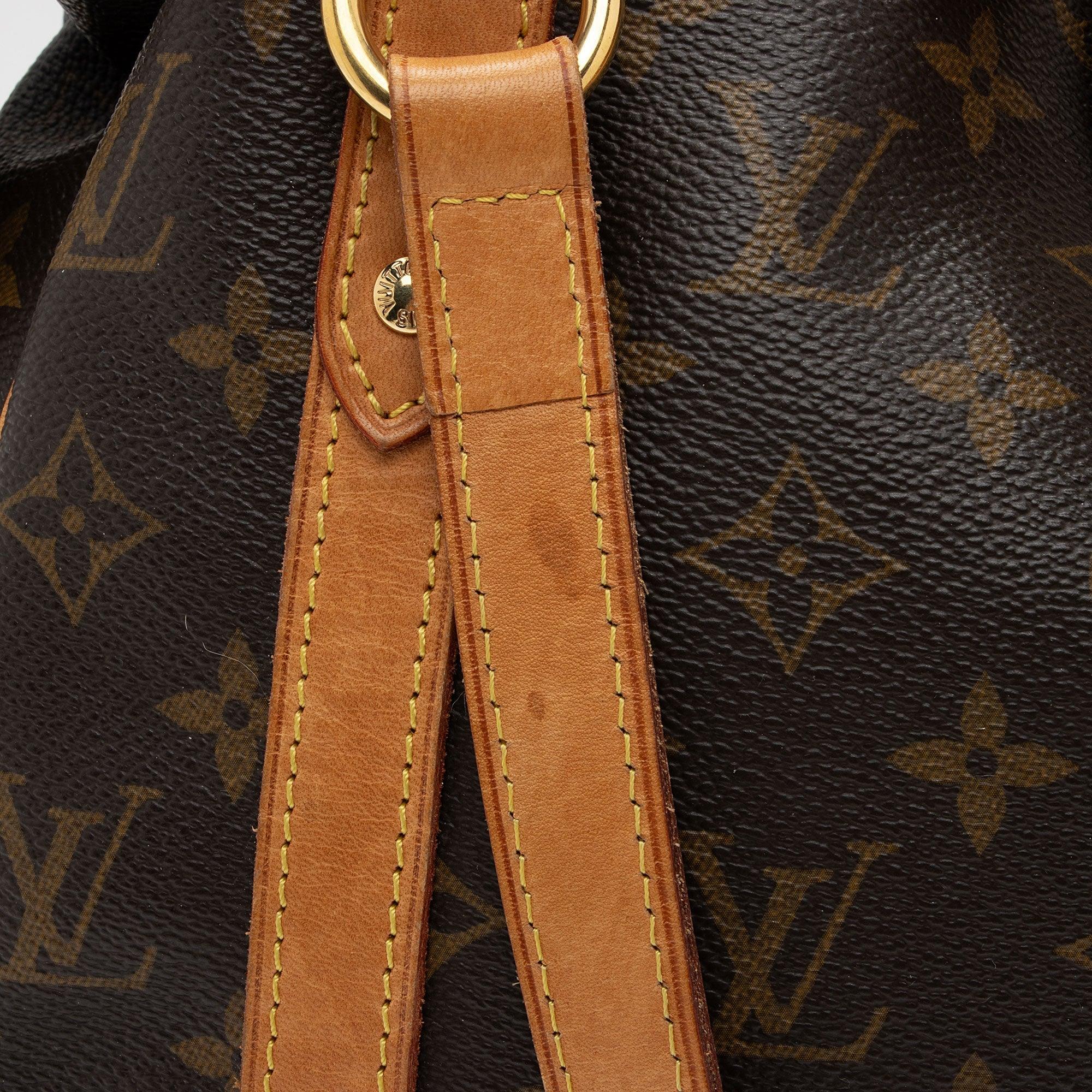 Louis Vuitton Monogram Canvas Stresa PM Shoulder Bag - tntwear1