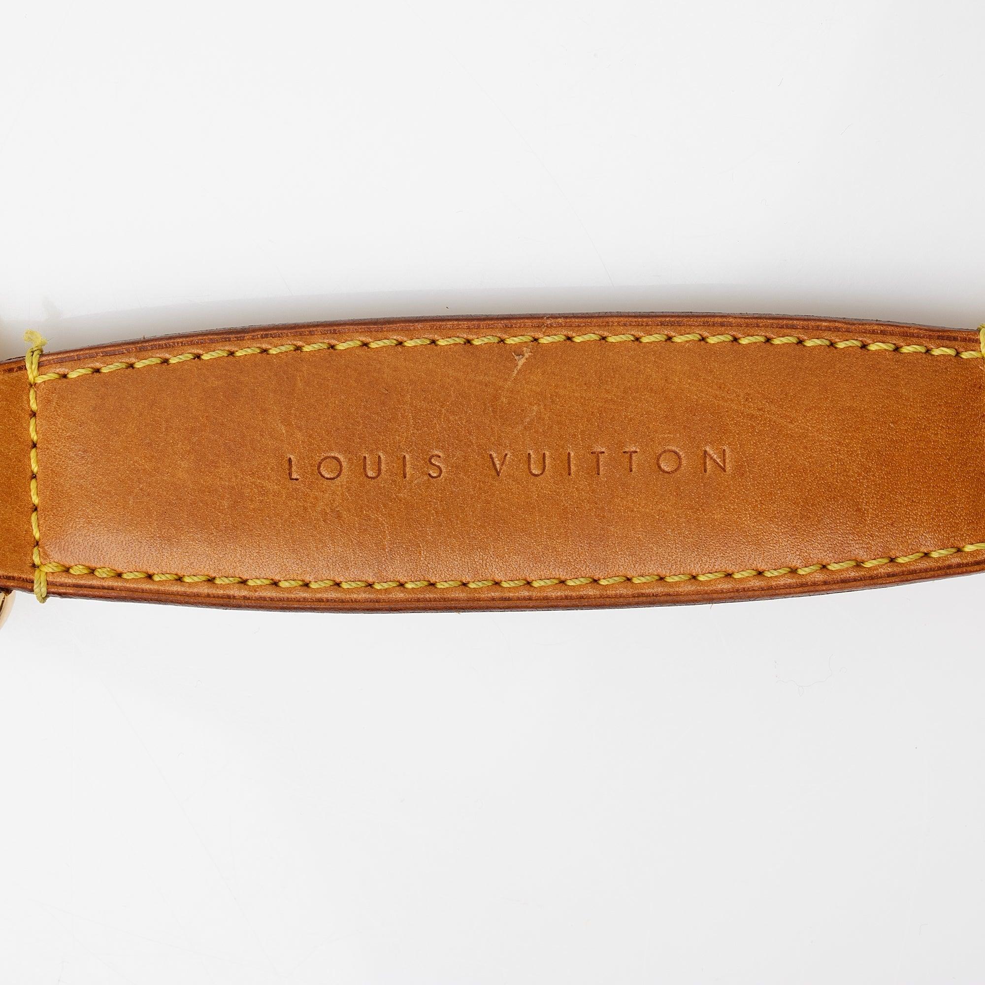 Louis Vuitton Monogram Canvas Tulum PM Shoulder Bag - tntwear1