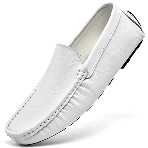 Yan Men's Loafer Casual Shoes