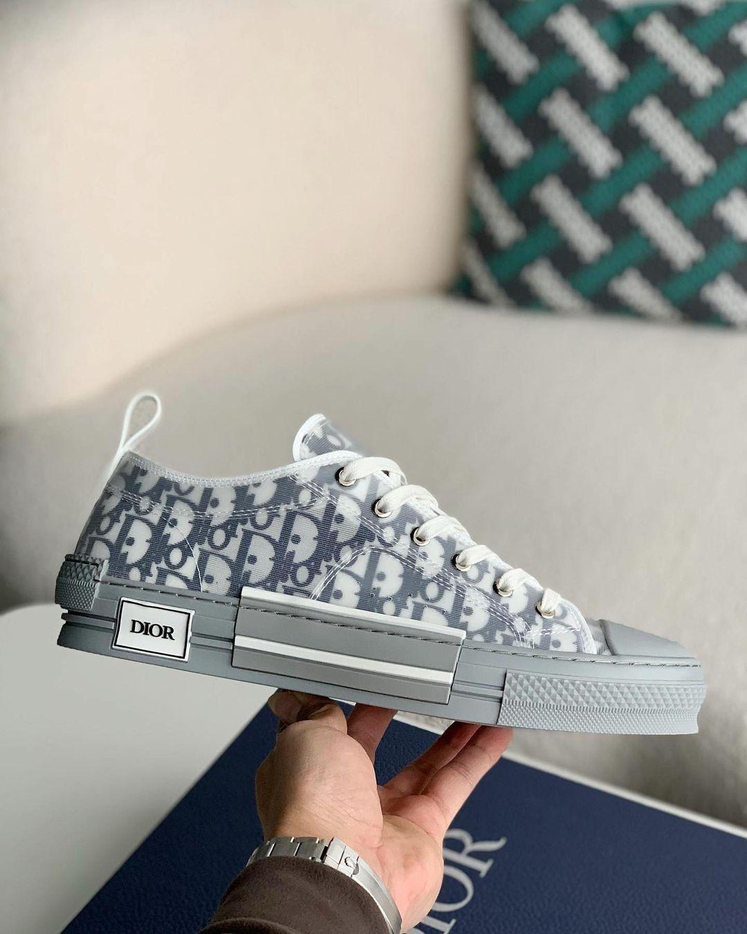 Dior B23 Low-Top Sneakers "GRAY" - tntwear1